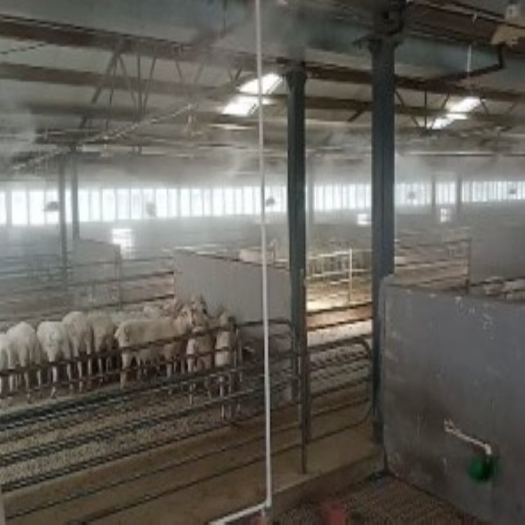 養(yǎng)豬場噴霧降溫設(shè)備安裝的注意事項有哪些？